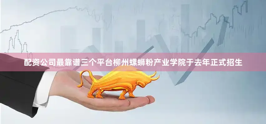 配资公司最靠谱三个平台柳州螺蛳粉产业学院于去年正式招生