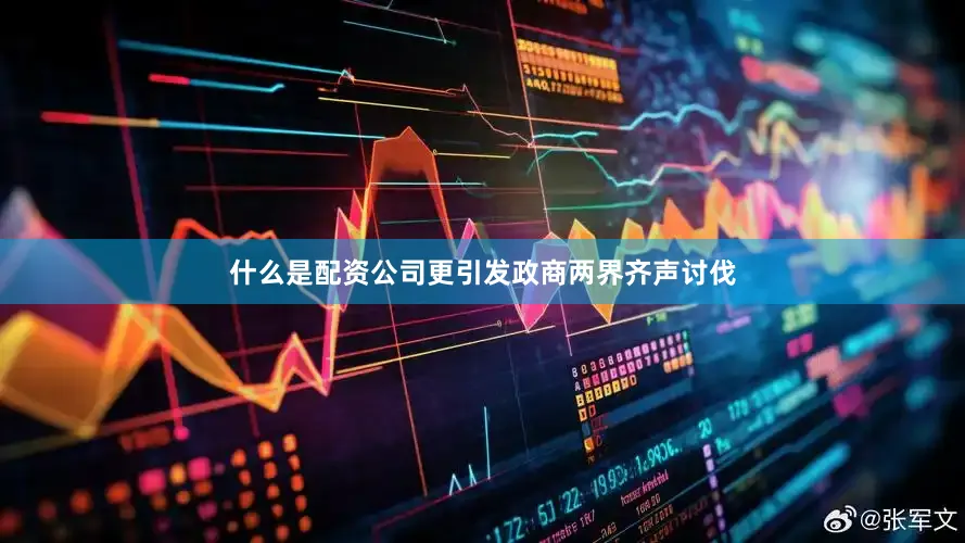 什么是配资公司更引发政商两界齐声讨伐