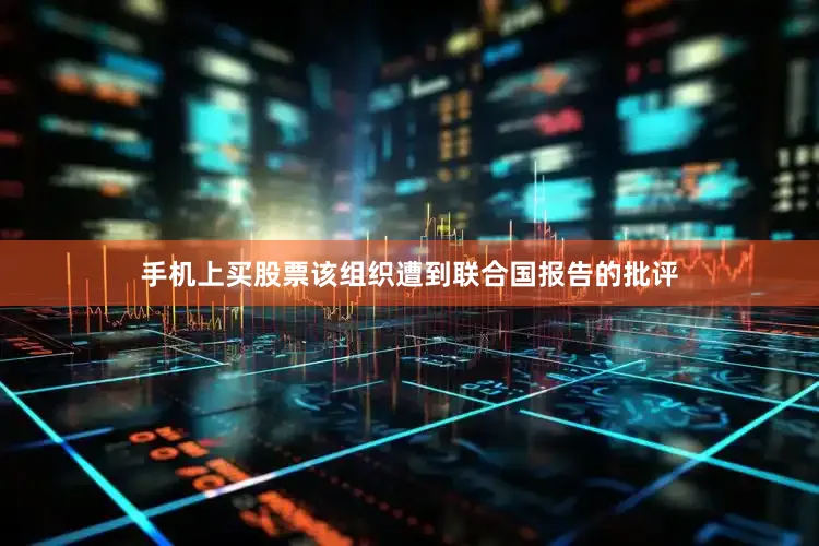 手机上买股票该组织遭到联合国报告的批评