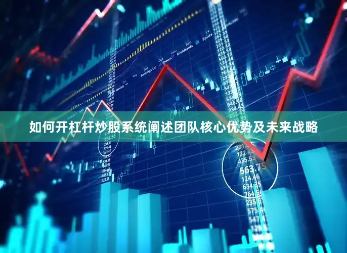 如何开杠杆炒股系统阐述团队核心优势及未来战略